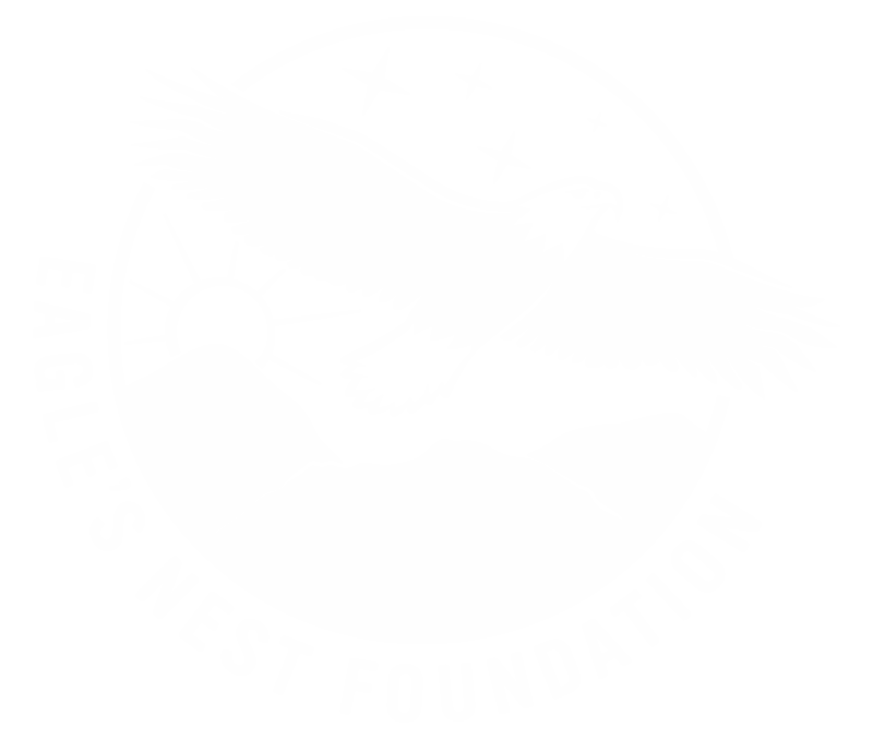 hig-res-eagles-nest-foundation_white-copy-2